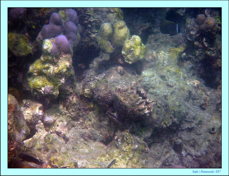 2011 - 03 - Koh Kradan 064